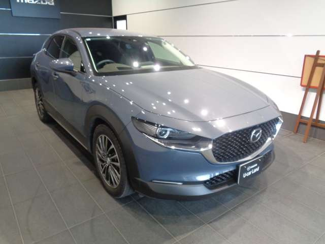CX-301.8 XD Lパッケージ 4WD
