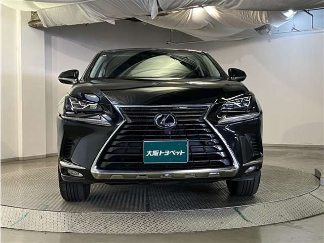 NX300h Iパッケージ