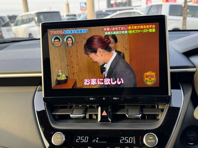 ���͂₢�E�����E���S�̎Ԍ��̑S���`�F�[���y�A�b�v���Ԍ��z�����X�ł����^�A�ǎw�薯�ԎԌ��H��𕹐݂��Ă��܂���