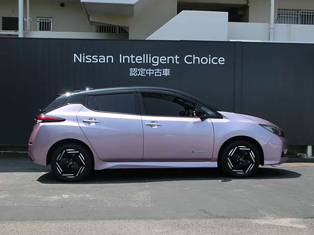リーフe+ X