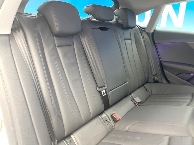 ���㕔���Ȃ��C�ɂȂ�悤�ȃL�Y�E�����ւ��蓙�A�傫�ȃ_���[�W�͂Ȃ��A�ǍD�ȏ�Ԃł��B