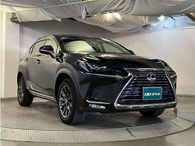 NX300h Iパッケージ