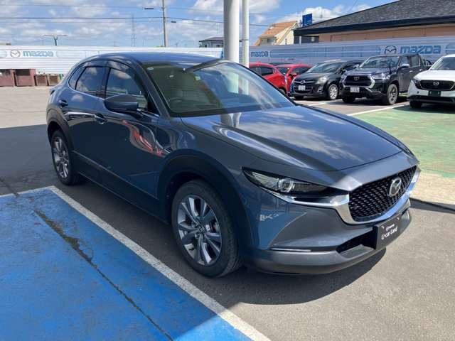CX-301.8 XD プロアクティブ ツーリングセレクション 4WD