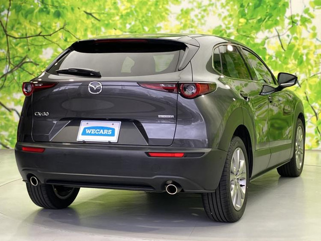 CX-302.0 20S Lパッケージ