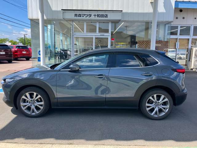 CX-301.8 XD プロアクティブ ツーリングセレクション 4WD