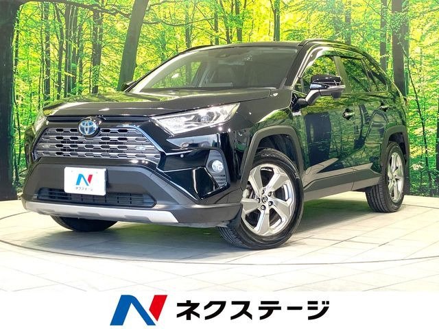 RAV42.5 ハイブリッド G E-Four 4WD