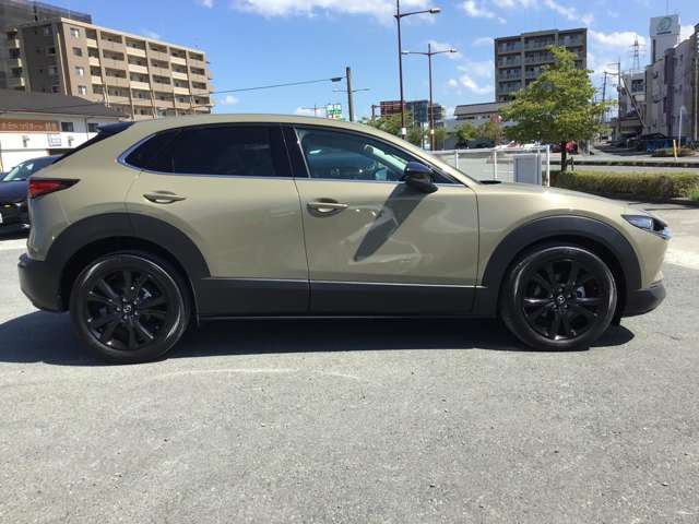 CX-302.0 20S