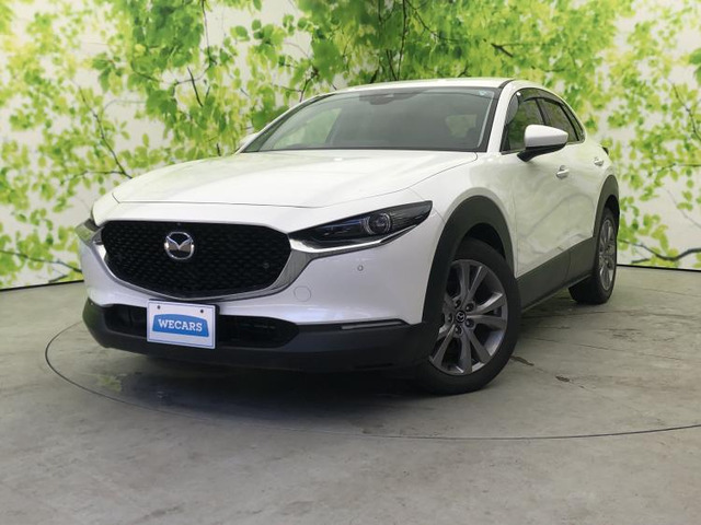 CX-301.8 XD Lパッケージ
