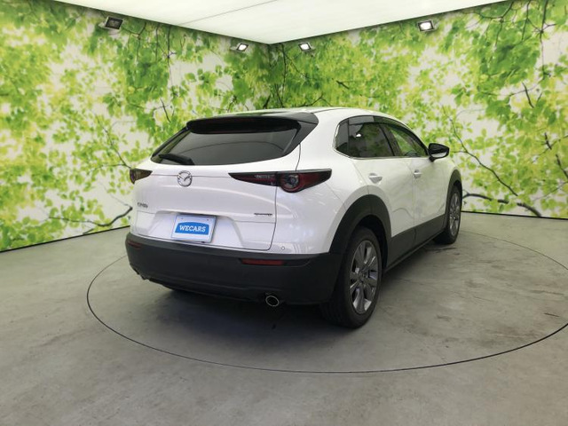 CX-301.8 XD Lパッケージ