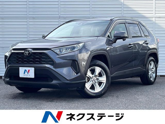 RAV42.0 X