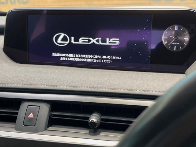 UX250h バージョンC