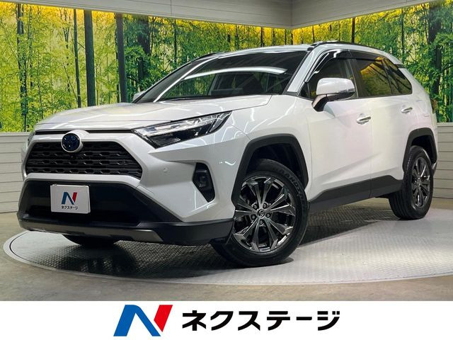 RAV42.5 ハイブリッド G E-Four 4WD