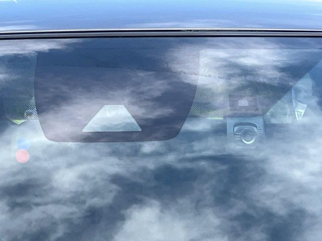 RAV42.0 X