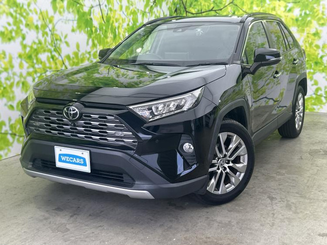 RAV42.0 G Zパッケージ 4WD