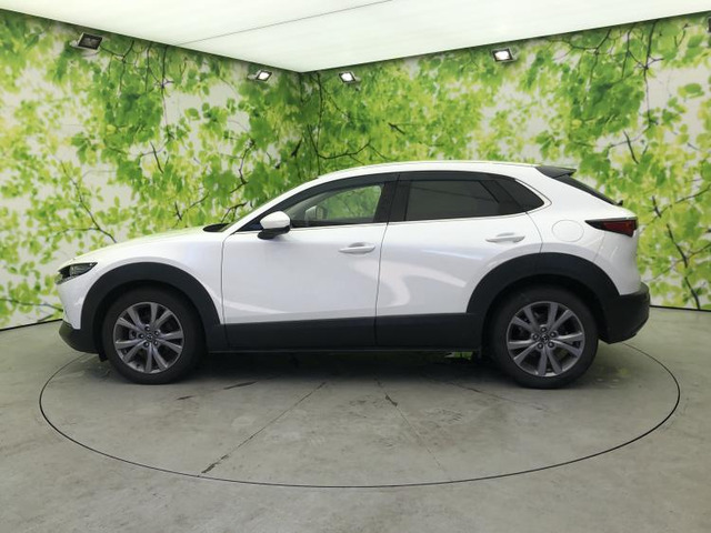 CX-301.8 XD Lパッケージ