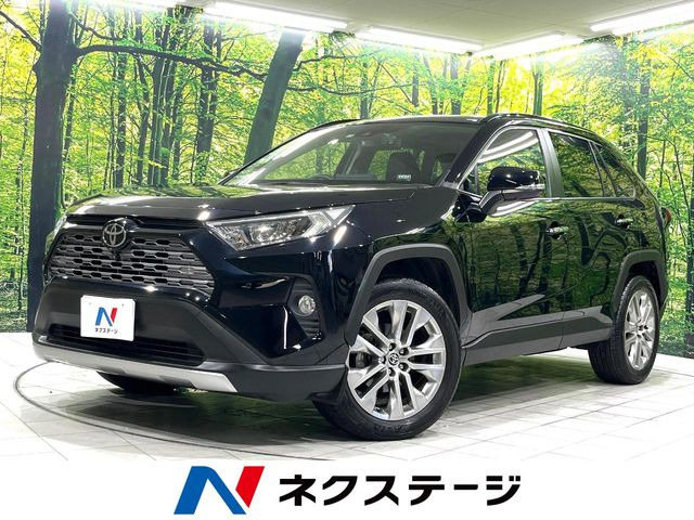 RAV4(トヨタ) 2.0 G Zパッケージ 4WD 中古車画像