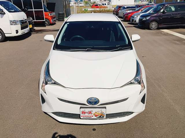 WEB�ETEL���k�s�Ȃ��Ă���܂�!�����X���������Ȃ��Ă����k�E���w���\�ł�!���C�y�ɓX���ւ��⍇������������