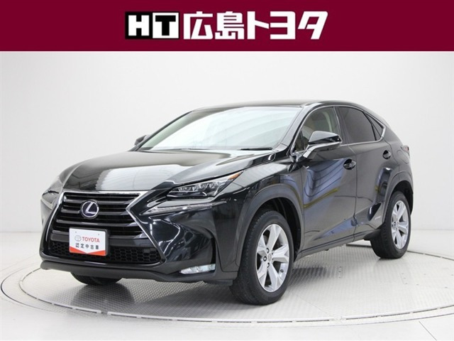 NX300h Iパッケージ