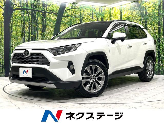 RAV4(トヨタ) 2.0 G Zパッケージ 4WD 中古車画像