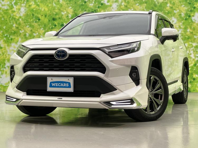 RAV42.5 ハイブリッド X