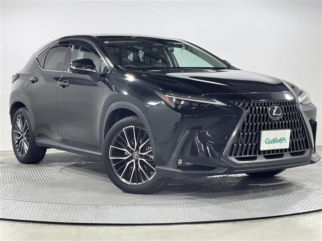 NX250 バージョンL