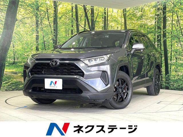 RAV42.0 X