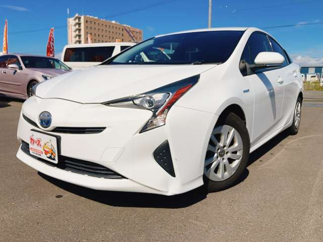 �y39.8���X�J�[�Y�̎��q���������������A���ɂ��肪�Ƃ��������܂��B���������q�s�Ö�368-1