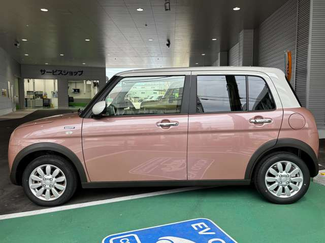アルトラパンハイブリッド X