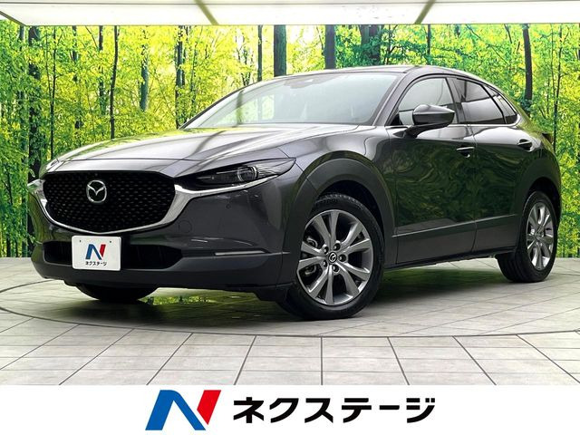 CX-302.0 20S プロアクティブ ツーリングセレクション