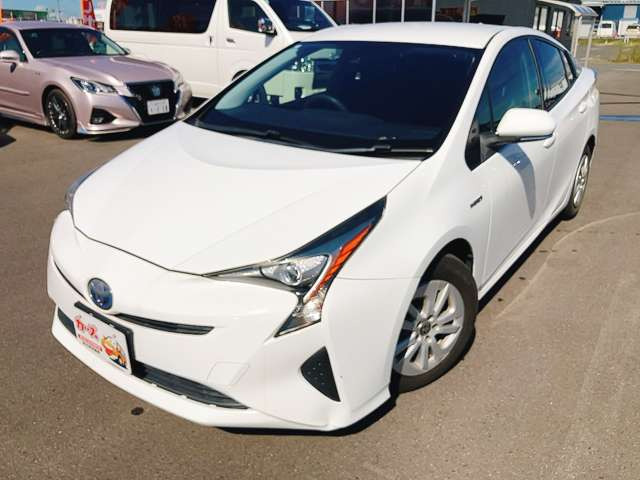 �y39.8���X�J�[�Y�̎��q���������������A���ɂ��肪�Ƃ��������܂��B���������q�s�Ö�368-1