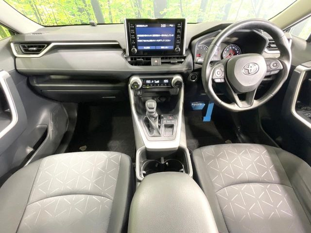 RAV42.0 X
