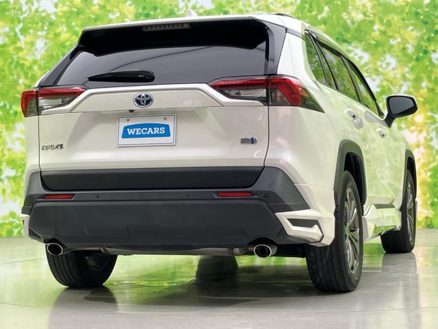 RAV42.5 ハイブリッド X