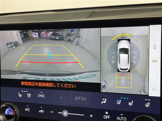 NX250 バージョンL
