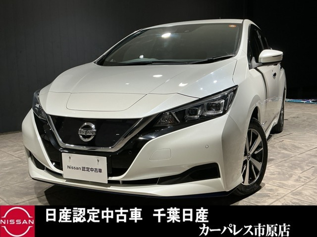 リーフe+ X