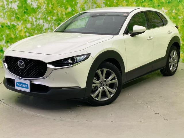 CX-301.8 XD プロアクティブ ツーリングセレクション