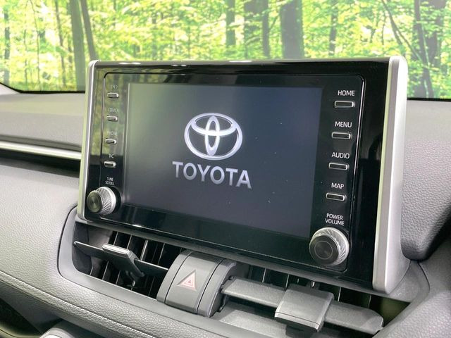 RAV42.0 X