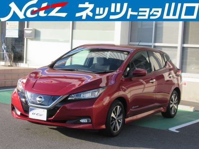 リーフX