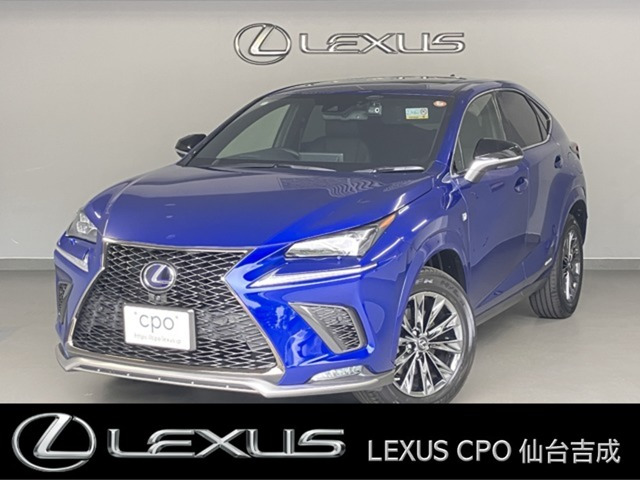 NX300h クール&ブライト 4WD
