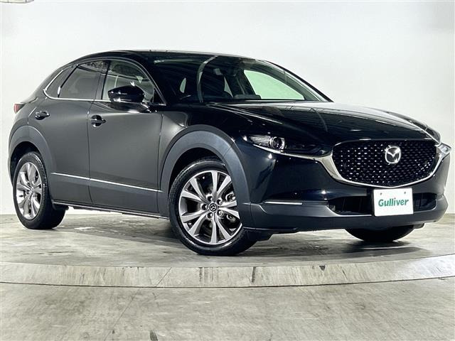 CX-302.0 20S プロアクティブ