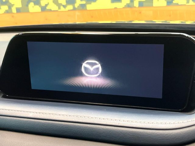 CX-302.0 20S