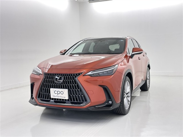 NX350h バージョンL