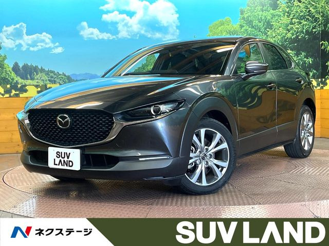 CX-302.0 20S