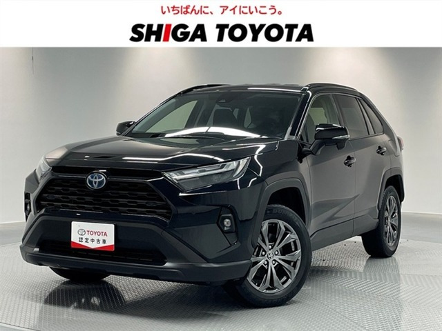 RAV42.5 ハイブリッド X