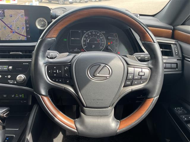 ES300h