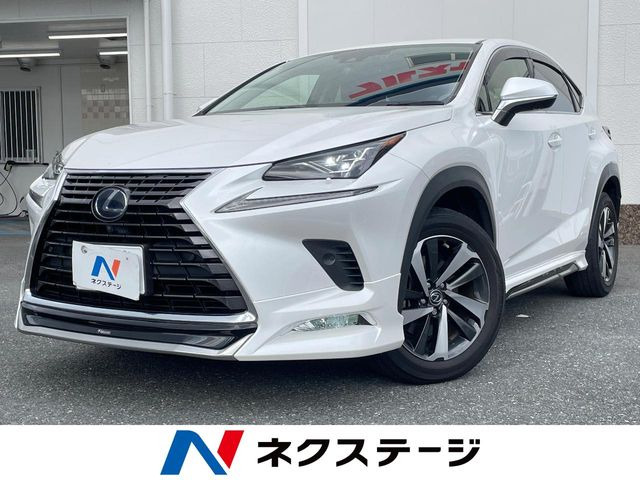 NX300h Iパッケージ