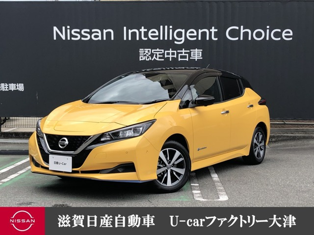 リーフe+ X