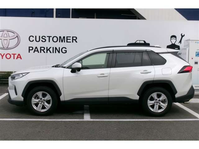 RAV42.0 X
