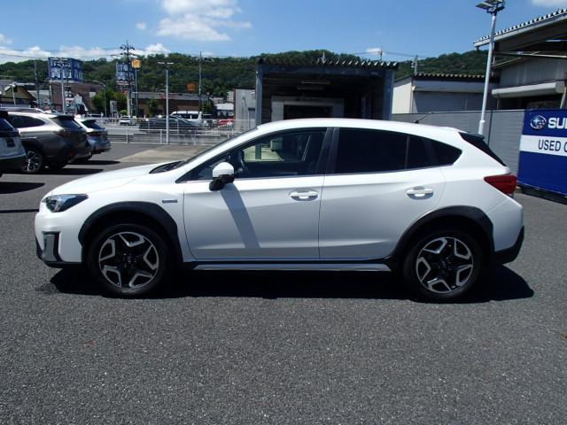 XV