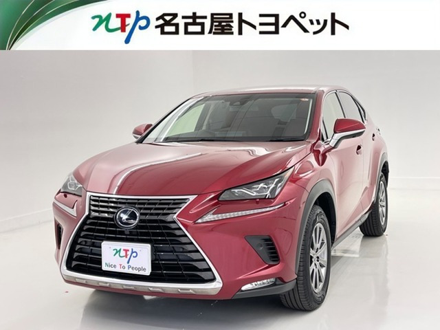 NX300h Iパッケージ