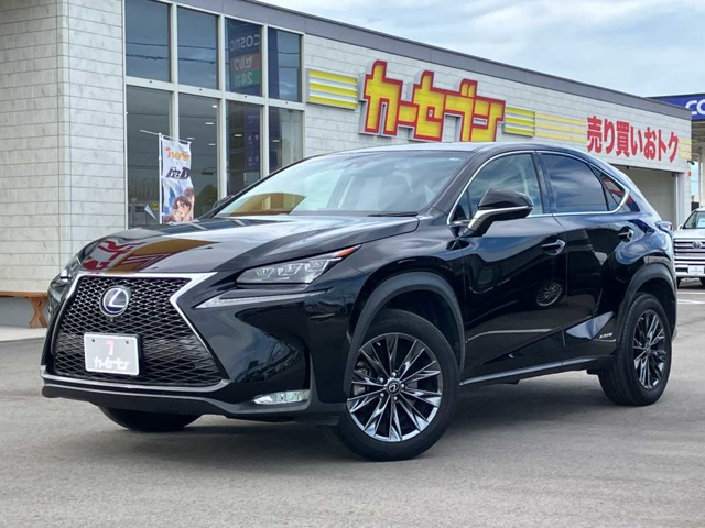 NX300h バージョンL